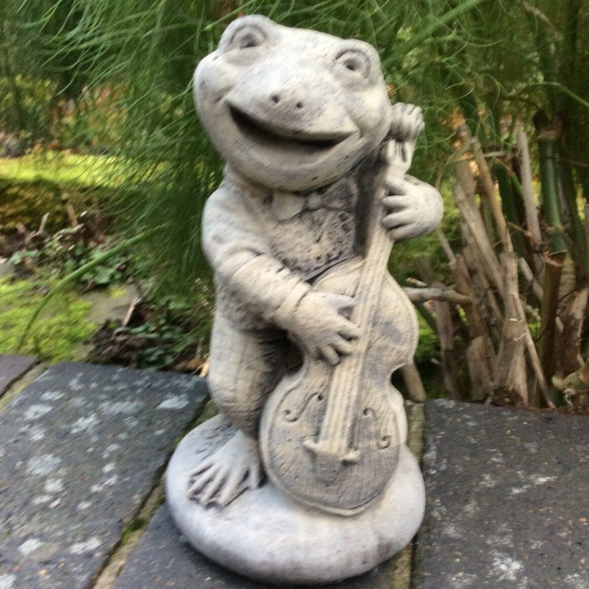 Cello frog deals