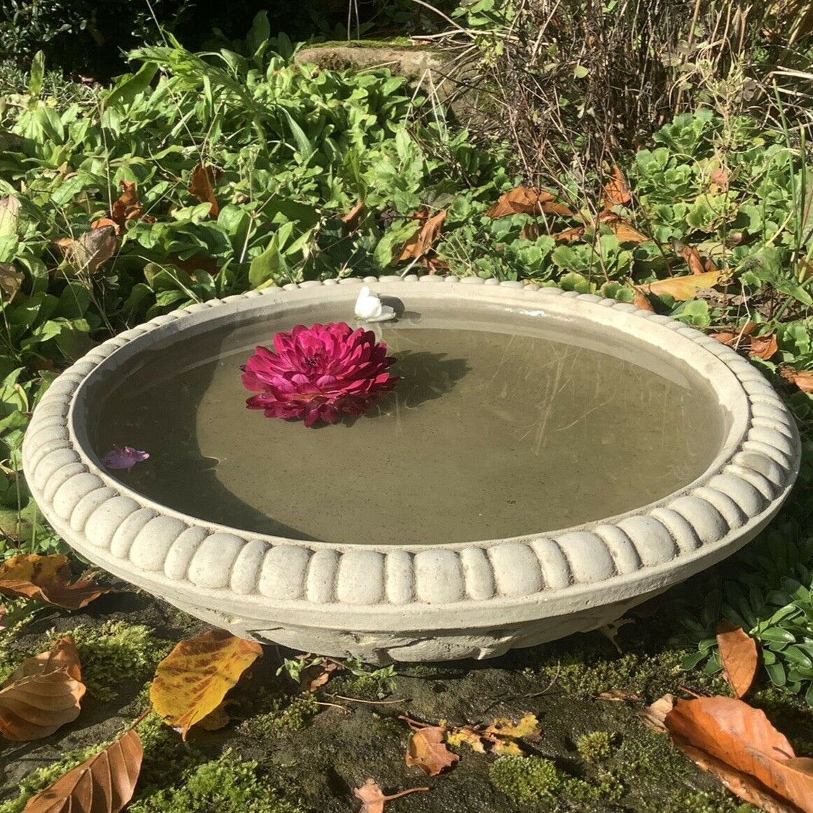 STONE GARDEN BIRD BATH TOP ONLY REPLACEMENT DISH Ferney Heyes Garden