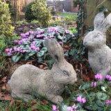 STONE GARDEN PAIR OF RABBITS STATUES EASTER BUNNY RABBIT ORNAMENTS