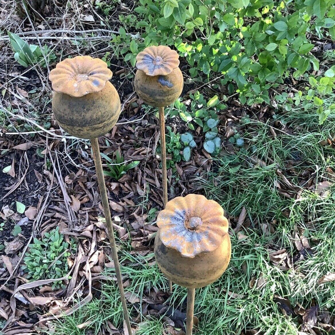 poppy seed head garden stakes SET OF 3 RUSTY 1M METAL POPPY PLANT SUPPORTS GARDEN STAKES – Ferney Heyes Garden Products