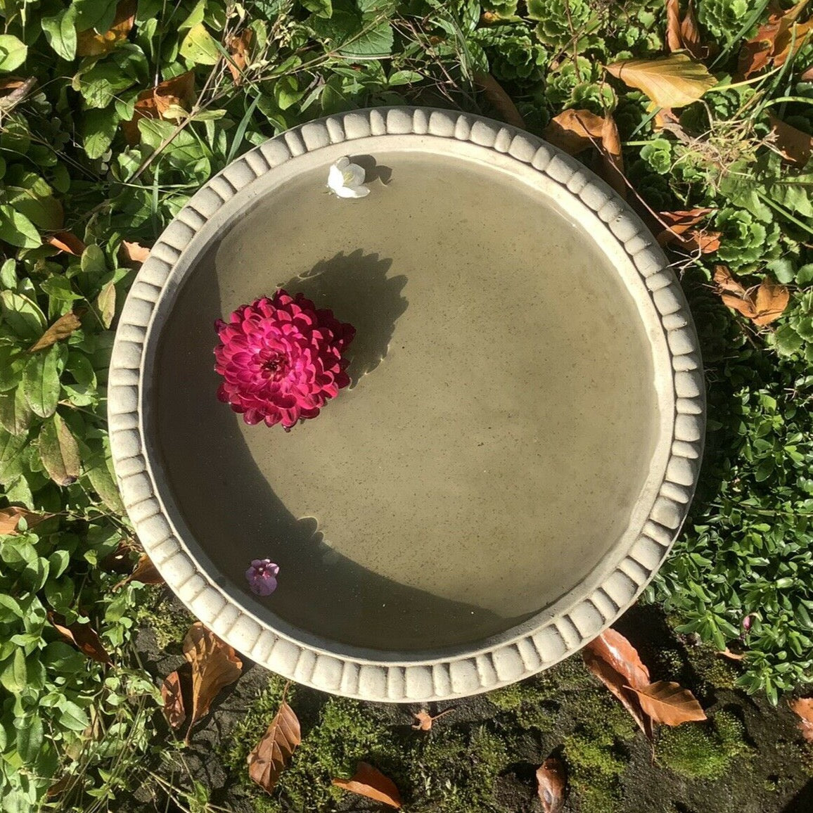 STONE GARDEN BIRD BATH TOP ONLY REPLACEMENT DISH Ferney Heyes Garden