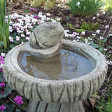 STONE GARDEN FROG LOG BIRD BATH