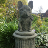 STONE GARDEN SITTING FRENCH BULLDOG ON PLINTH STATUE ORNAMENT