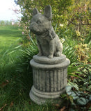 STONE GARDEN SITTING FRENCH BULLDOG ON PLINTH STATUE ORNAMENT