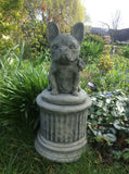 STONE GARDEN SITTING FRENCH BULLDOG ON PLINTH STATUE ORNAMENT