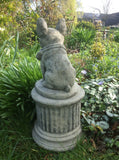 STONE GARDEN SITTING FRENCH BULLDOG ON PLINTH STATUE ORNAMENT