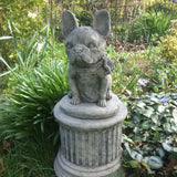 STONE GARDEN SITTING FRENCH BULLDOG ON PLINTH STATUE ORNAMENT