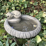 STONE GARDEN SMALL KITTEN BIRD BATH BIRD TOP FEEDER
