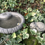 STONE GARDEN SMALL KITTEN BIRD BATH BIRD TOP FEEDER