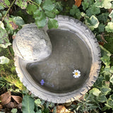STONE GARDEN SMALL FROG BIRD BATH BIRD TOP FEEDER