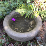 STONE GARDEN OLD STYLE ROCKERY BIRDBATH FEEDER BOWL ORNAMENT