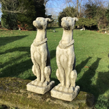 STONE GARDEN PAIR OF TALL GREYHOUND GUARD DOG ORNAMENTS STATUES