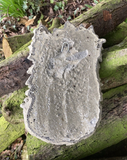 STONE GARDEN WOODLAND GREEN MAN LEAF FACE WALL PLAQUE
