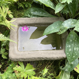 STONE GARDEN OLD STYLE RECTANGULAR ROCKERY BIRD BATH MINI POND TROUGH BOWL