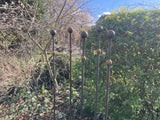 SET OF 4 x 1.5m TALL RUSTY METAL DOUBLE BALL GARDEN STAKES SUPPORTS - HEAVY DUTY