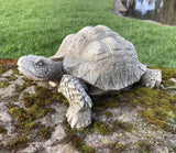 STONE GARDEN TORTOISE ORNAMENT TURTLE STATUE