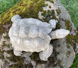 STONE GARDEN TORTOISE ORNAMENT TURTLE STATUE
