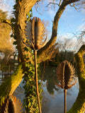 RUSTY METAL GARDEN THISTLE / TEASEL FLOWER SPRAY STAKE ORNAMENT