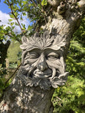 STONE GARDEN WINKING GREEN MAN FACE WALL PLAQUE HANGING PAGAN