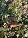 SMALL METAL SOLAR LIGHT FAIRY GARDEN STAKE