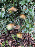 COLOURED METAL TOADSTOOL CLUSTER STAKE MUSHROOM GARDEN ORNAMENT
