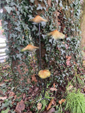 COLOURED METAL TOADSTOOL CLUSTER STAKE MUSHROOM GARDEN ORNAMENT
