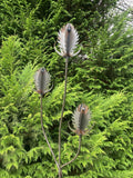 RUSTY METAL GARDEN THISTLE / TEASEL FLOWER SPRAY STAKE ORNAMENT