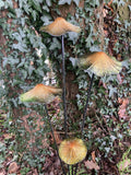 COLOURED METAL TOADSTOOL CLUSTER STAKE MUSHROOM GARDEN ORNAMENT
