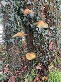 COLOURED METAL TOADSTOOL CLUSTER STAKE MUSHROOM GARDEN ORNAMENT