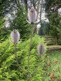 RUSTY METAL GARDEN THISTLE / TEASEL FLOWER SPRAY STAKE ORNAMENT