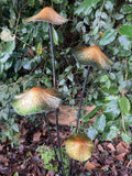 COLOURED METAL TOADSTOOL CLUSTER STAKE MUSHROOM GARDEN ORNAMENT