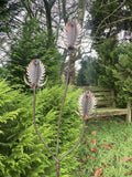 RUSTY METAL GARDEN THISTLE / TEASEL FLOWER SPRAY STAKE ORNAMENT