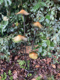 COLOURED METAL TOADSTOOL CLUSTER STAKE MUSHROOM GARDEN ORNAMENT