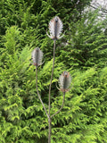 RUSTY METAL GARDEN THISTLE / TEASEL FLOWER SPRAY STAKE ORNAMENT