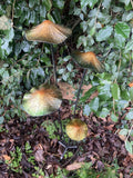 COLOURED METAL TOADSTOOL CLUSTER STAKE MUSHROOM GARDEN ORNAMENT