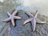 SET OF 2 METAL SMALL CAST IRON STAR FISH POND STATUE GARDEN ORNAMENTS