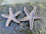 SET OF 2 METAL SMALL CAST IRON STAR FISH POND STATUE GARDEN ORNAMENTS