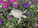 CAST IRON METAL TURTLE KEY SAFE STATUE GARDEN ORNAMENT