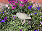 CAST IRON METAL TURTLE KEY SAFE STATUE GARDEN ORNAMENT