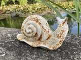 CAST IRON METAL SNAIL STATUE GARDEN ORNAMENT
