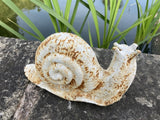 CAST IRON METAL SNAIL STATUE GARDEN ORNAMENT
