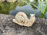 CAST IRON METAL SNAIL STATUE GARDEN ORNAMENT
