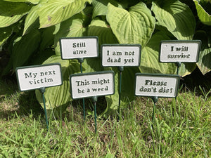 SET OF 6 PAINTED CAST IRON COMICAL PLANT SIGNS STAKES
