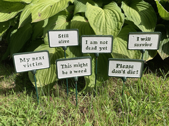 SET OF 6 PAINTED CAST IRON COMICAL PLANT SIGNS STAKES
