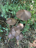 METAL TOADSTOOL CLUSTER MUSHROOM GARDEN STAKE