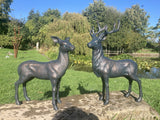 PAIR OF METAL CAST ALUMINIUM DEER STATUES GARDEN ORNAMENTS