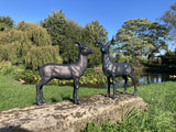 PAIR OF METAL CAST ALUMINIUM DEER STATUES GARDEN ORNAMENTS