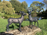 PAIR OF METAL CAST ALUMINIUM DEER STATUES GARDEN ORNAMENTS