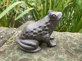 PAIR OF SMALL CAST IRON METAL FROG STATUE GARDEN ORNAMENTS