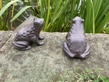 PAIR OF SMALL CAST IRON METAL FROG STATUE GARDEN ORNAMENTS
